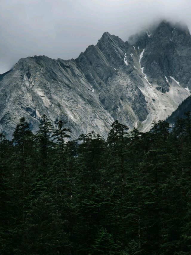 A moment of solitude in Lijiang 🌲