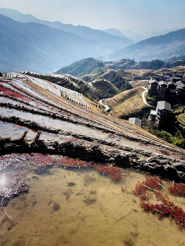 A trek to Longji Rice Terraces 