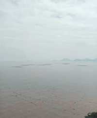 This is probably the most beautiful seaside plank road in Wenzhou...