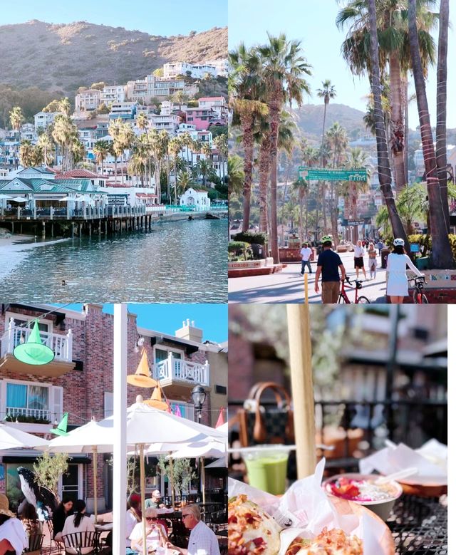 Los Angeles' backyard - Santa Catalina Island.