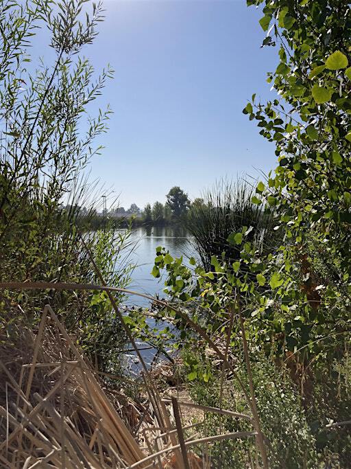 River Session: Mile 45 | Sepulveda Basin Wildlife Area | Sepulveda Basin Wildlife Area Amphitheater