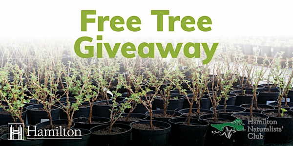 Free Tree Giveaway 2025:  Bayfront Park Pick-Up | Bayfront Park