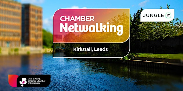Netwalking with Jungle IT | Jungle IT Ltd