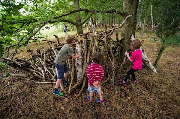 Wild Families: Woodland Fun (ECC 2511) | Carlton Marshes Nature Reserve & Visitor Centre