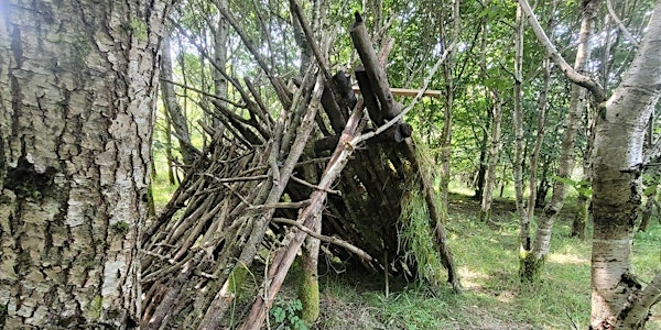 Summer Outdoor Activities Thursday 24th July- Birds & Den Building | Beechbrae Wood