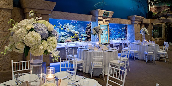 Long Island Bridal Expo, Atlantis Super Show, Sunday, Nov 2, 2025 | Atlantis Banquets & Events