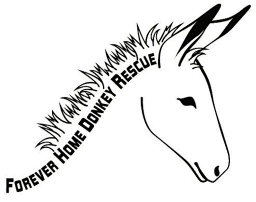 First Annual Donkey Fundraiser for Forever Home Donkey Rescue | Green Monkey Boutique
