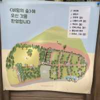 제주 숨은 여행지 - 안돌오름 비밀의 숲