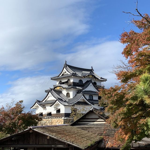 滋賀県　彦根城の紅葉