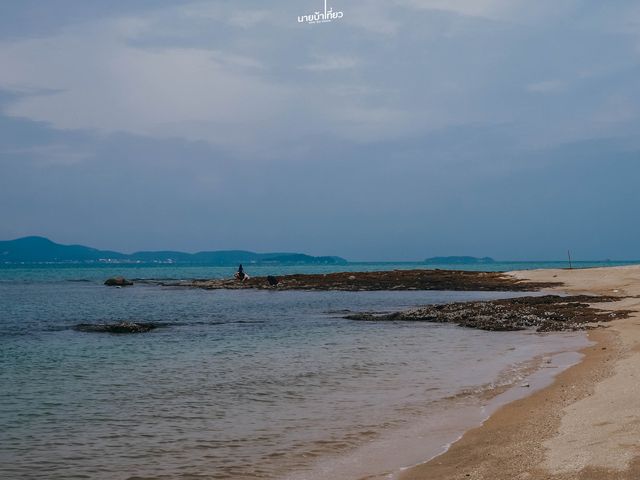 Royal Beach View Pattaya พัทยา 🇹🇭