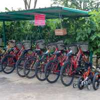 ร้านอาหารสำหรับครอบครัว กิจกรรมเยอะ