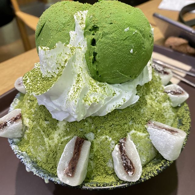 추운 겨울에 여름 여행 기분을 내고싶다면!