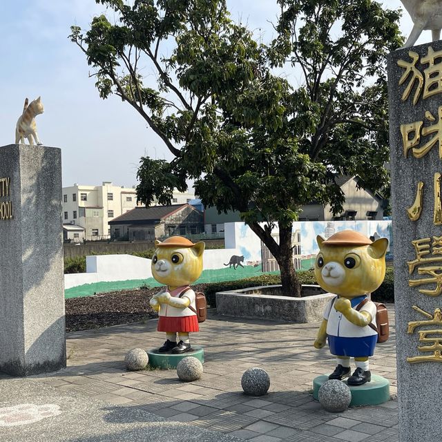 嘉義貓咪小學堂，讓我們充滿童心的好地方！