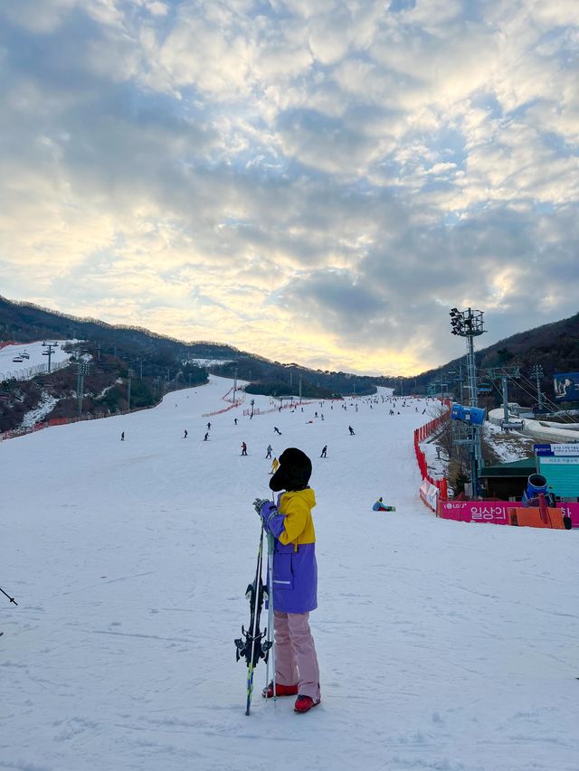 곤지암리조트 스키장 리프트권 겨울스키 즐기기