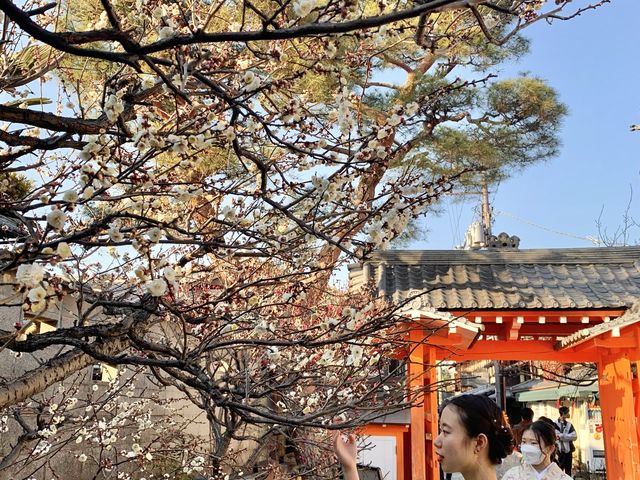 【京都観光】京都の映えスポット📸