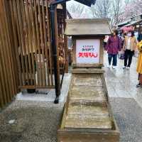 まるで名古屋城の城下町【金シャチ横丁】✨