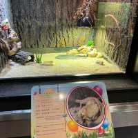 屯門公園-爬蟲館