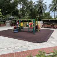 賞花好地方「蝴蝶灣公園」