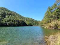 港版輕井澤雲場池~流水響水塘🏞️