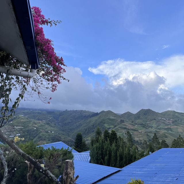 Impressive Views And Worth The Visit
