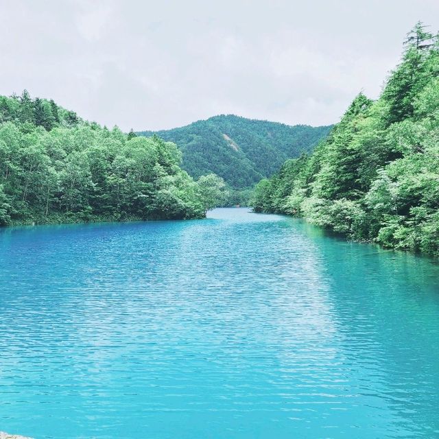 【長野】志賀高原の中の神秘的な群青の池【大沼池】