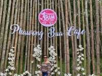 Phawong Bua Cafe