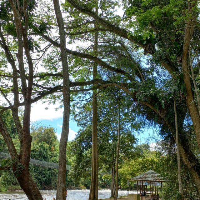 Keningau Attraction 🌳✨️