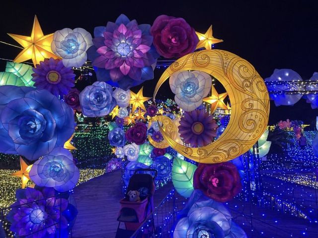 【伊豆】イルミネーションが綺麗な伊豆ぐらんぱる公園
