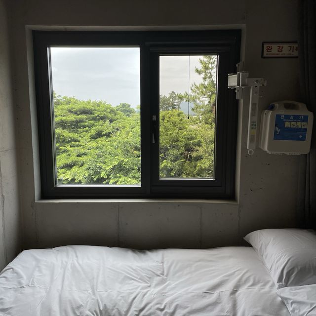 혼자 힐링하고 싶다면 플레이스캠프 제주!