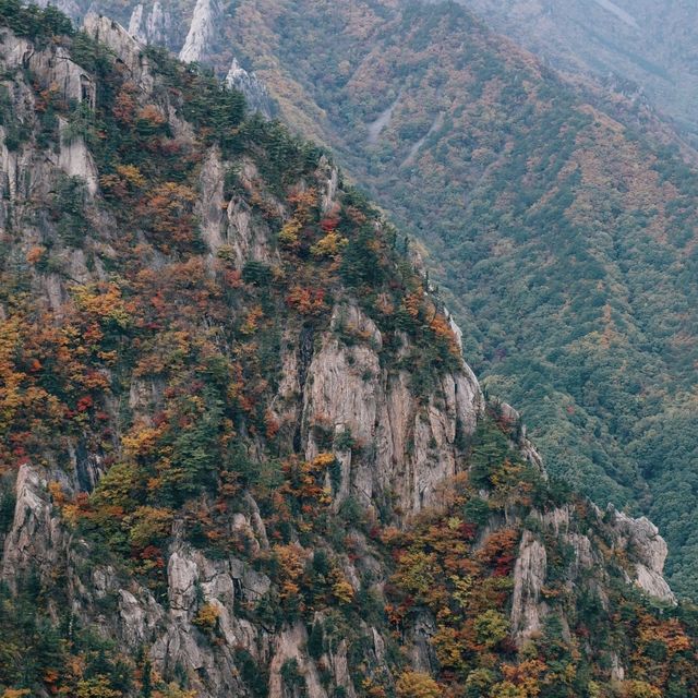 A hike to admire the fall foliage in the ⛰