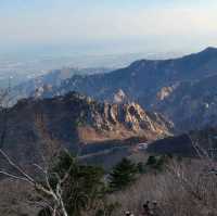 Jungcheong Shelter View