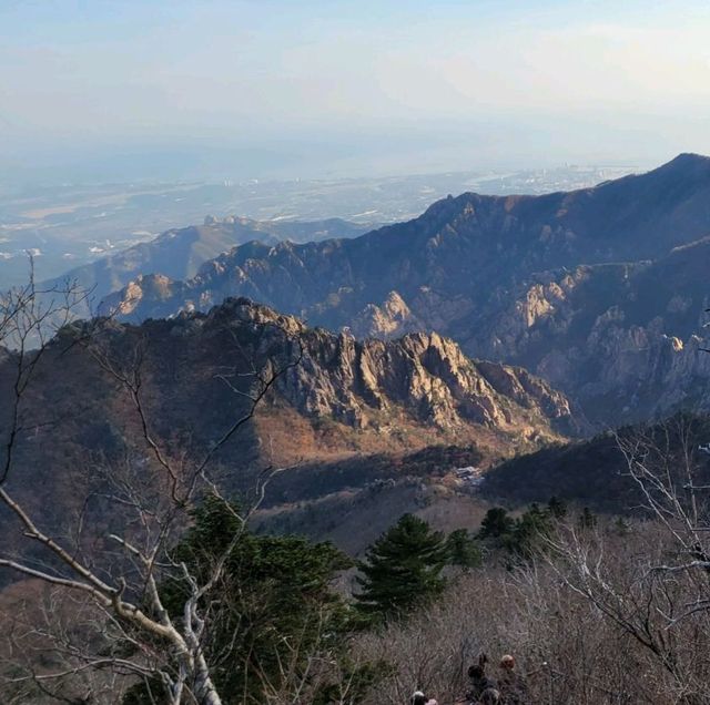 Jungcheong Shelter View