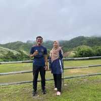 my love