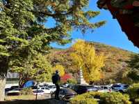 Autumn 🍂 foliage with lovely hiking trail 