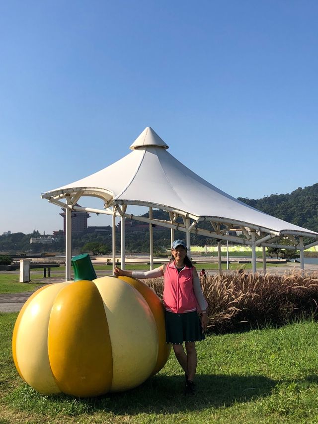 大佳河濱公園花海