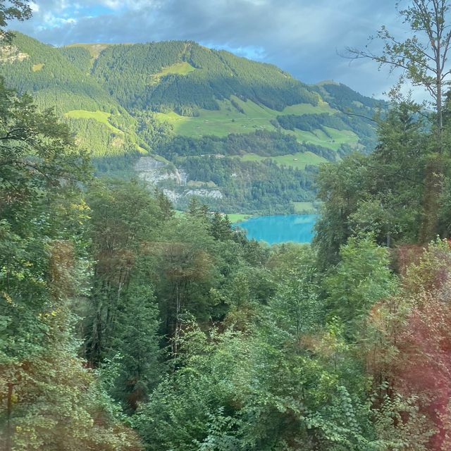 Scenic Trains in Swiss