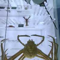 School Holidays Activities at Aquaria KLCC