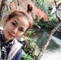 บ่อน้ำพุร้อนโคทาคุจิ♨️♨️