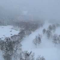 Hilton @ Niseko village 滑雪一流
