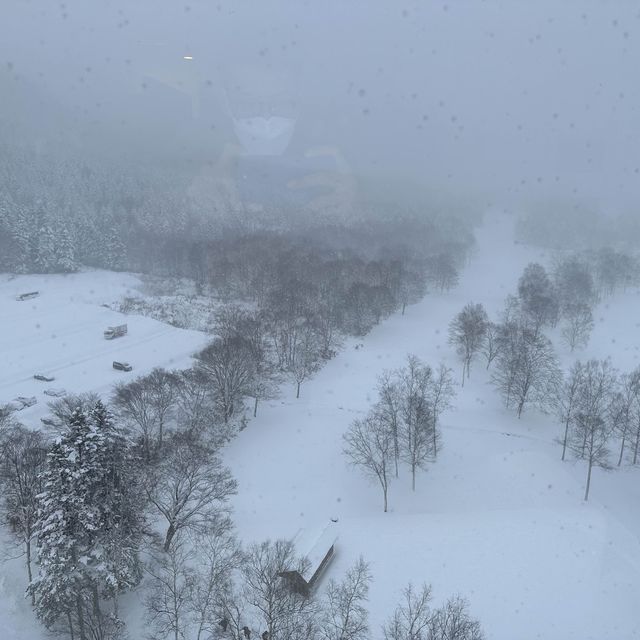 Hilton @ Niseko village 滑雪一流