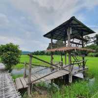 สะพานทุ่งนาน้อยเขาหล่น