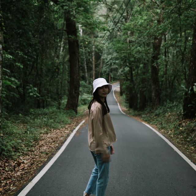 คาเฟ่ชิวๆบนยอดอยสุเทพ ขุนช่างเคี่ยน คาเฟ่ชิวๆบนยอดอยสุเทพ ขุนช่างเคี่ยน