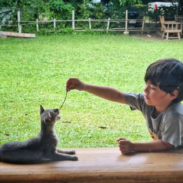 ดินคาเฟ่ เชียงใหม่