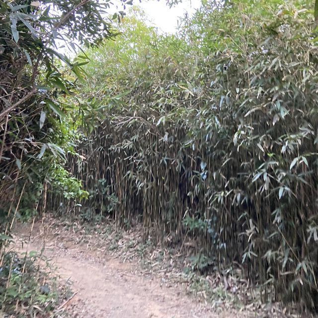 馬鞍山昂平 2Hour輕鬆易行⛰ 露營好地方