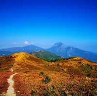 三山連走－觀音山、羌山、靈會山