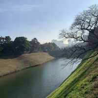 【千代田区】千鳥ヶ淵公園