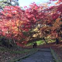 青森県　11月の弘前公園