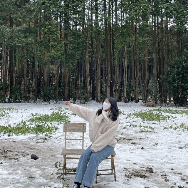 제주 안돌오름 , 비밀의 숲 