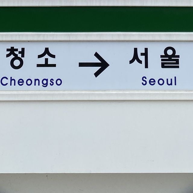 보령여행 핫플 , 기찻길 사진찍기 좋은 청소역🚉
