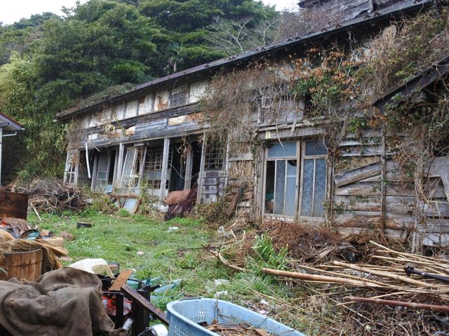 【猫島】人より猫が多い 田代島